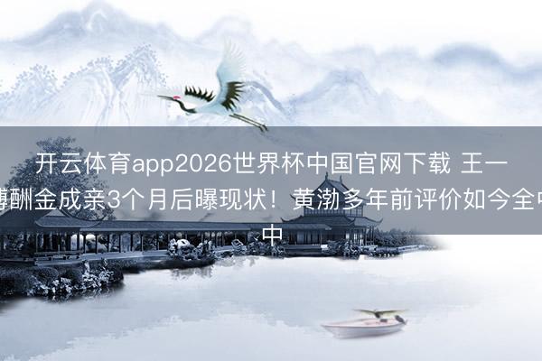 开云体育app2026世界杯中国官网下载 王一博酬金成亲3个月后曝现状！黄渤多年前评价如今全中