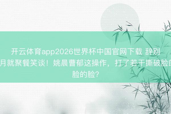 开云体育app2026世界杯中国官网下载 辞别一个月就聚餐笑谈！姚晨曹郁这操作，打了若干撕破脸的脸？
