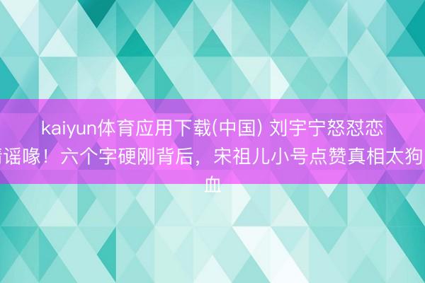 kaiyun体育应用下载(中国) 刘宇宁怒怼恋情谣喙！六个字硬刚背后，宋祖儿小号点赞真相太狗血