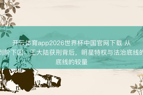 开云体育app2026世界杯中国官网下载 从顶流到阶下囚：王大陆获刑背后，明星特权与法治底线的较量