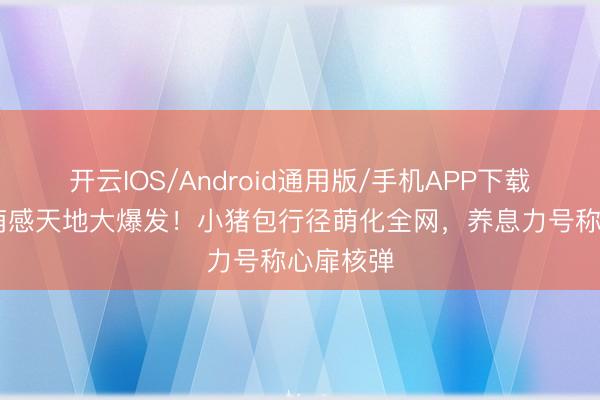 开云IOS/Android通用版/手机APP下载 张元英萌感天地大爆发！小猪包行径萌化全网，养息力号称心扉核弹