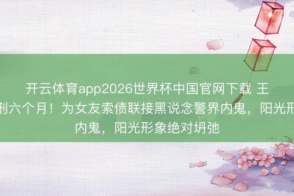开云体育app2026世界杯中国官网下载 王大陆一审获刑六个月!为女友索债联接黑说念警界内鬼,阳光形象绝对坍弛