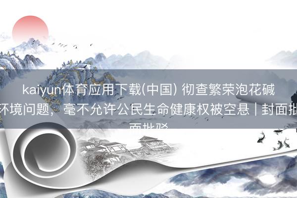 kaiyun体育应用下载(中国) 彻查繁荣泡花碱厂环境问题，毫不允许公民生命健康权被空悬 | 封面批驳