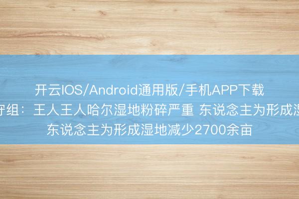 开云IOS/Android通用版/手机APP下载 中央生态环保防守组：王人王人哈尔湿地粉碎严重 东说念主为形成湿地减少2700余亩