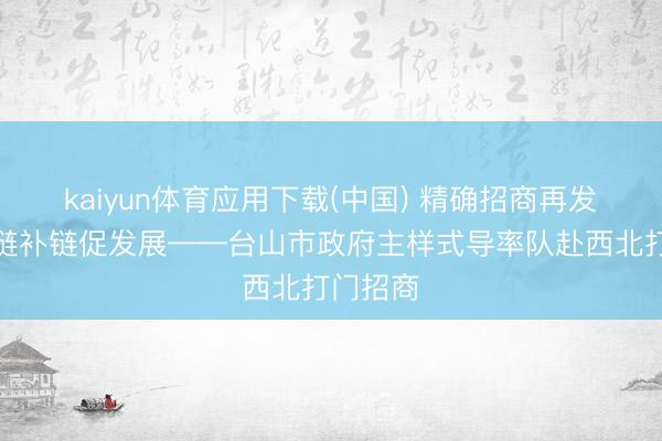 kaiyun体育应用下载(中国) 精确招商再发力，延链补链促发展——台山市政府主样式导率队赴西北打门招商